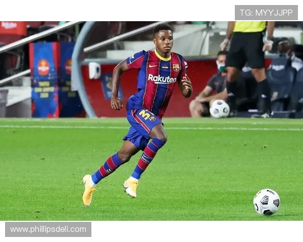 法蒂技术全面性